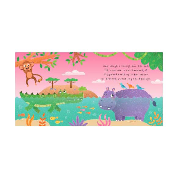 Kun Je Mij Vinden? Wilde Dieren Voorleesboek en 20 Memokaarten