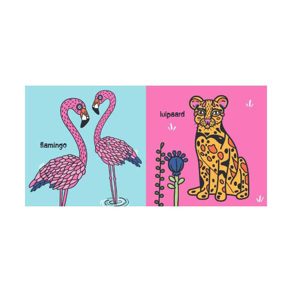 Magische Kleuren - Tropen Kartonboek