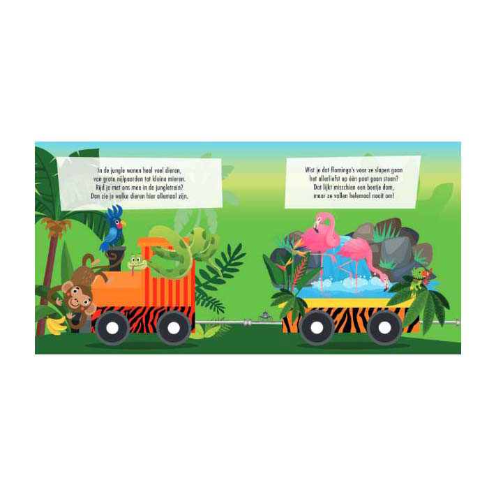 Boek en Puzzeltrein Jungle Boek en Puzzeltrein Jungle