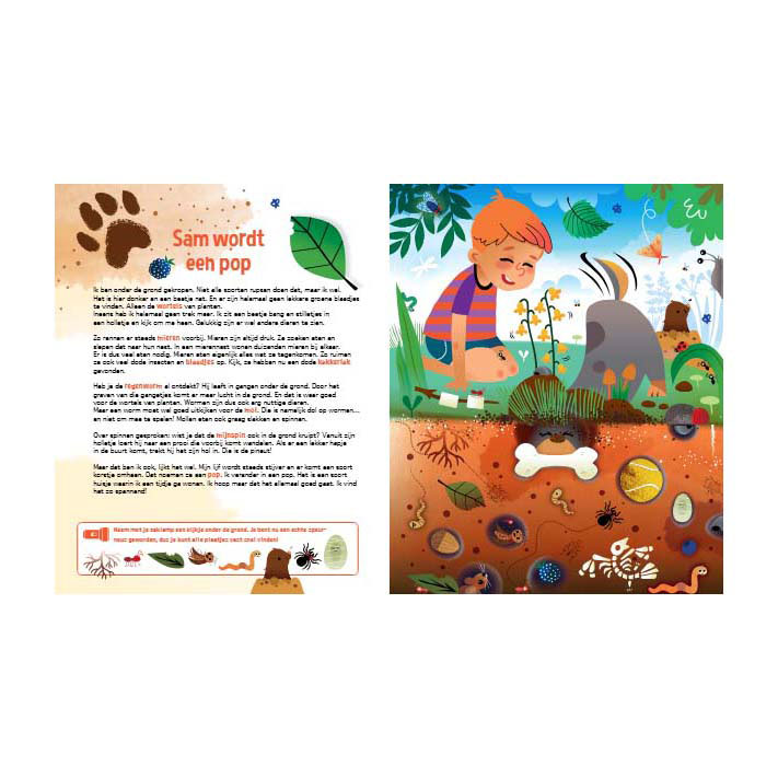 Speuren Naar Insecten Zoekboek met Kartonnen Zaklamp