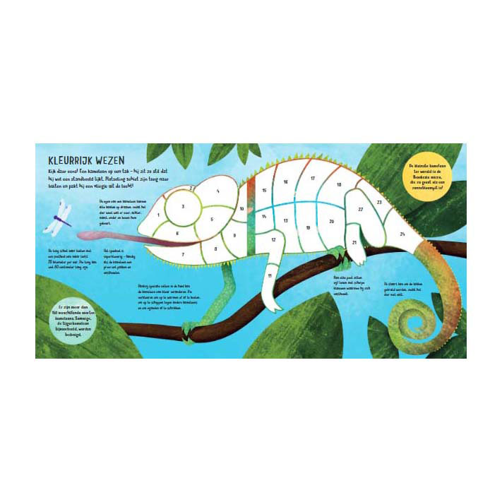 Stickers Plakken Op Nummer - Jungle