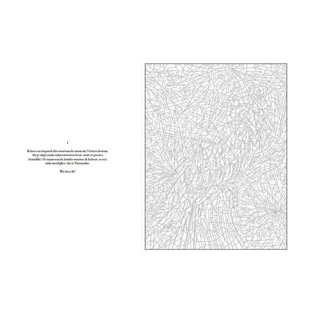 Secrets de couleurs - Animaux de la jungle