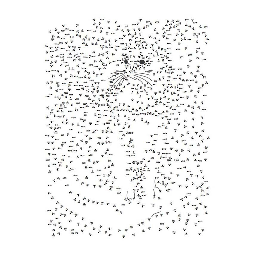 Point à point extrême - Animaux de compagnie