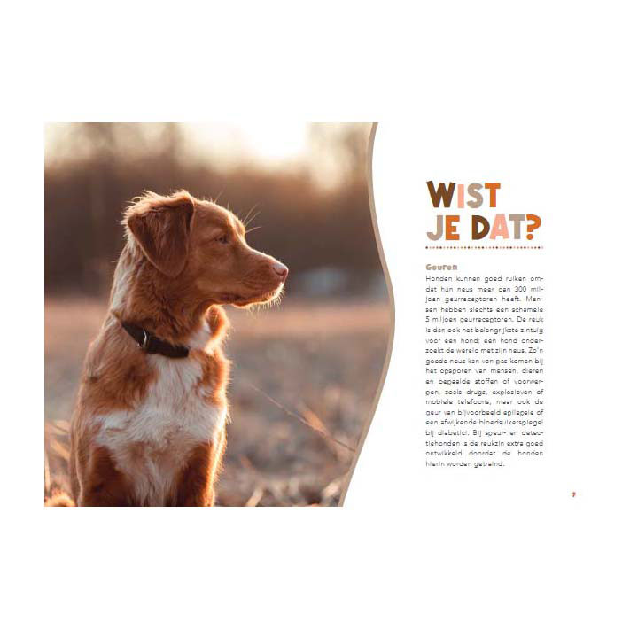 Handboek voor hondenbaasjes Handboek voor hondenbaasjes