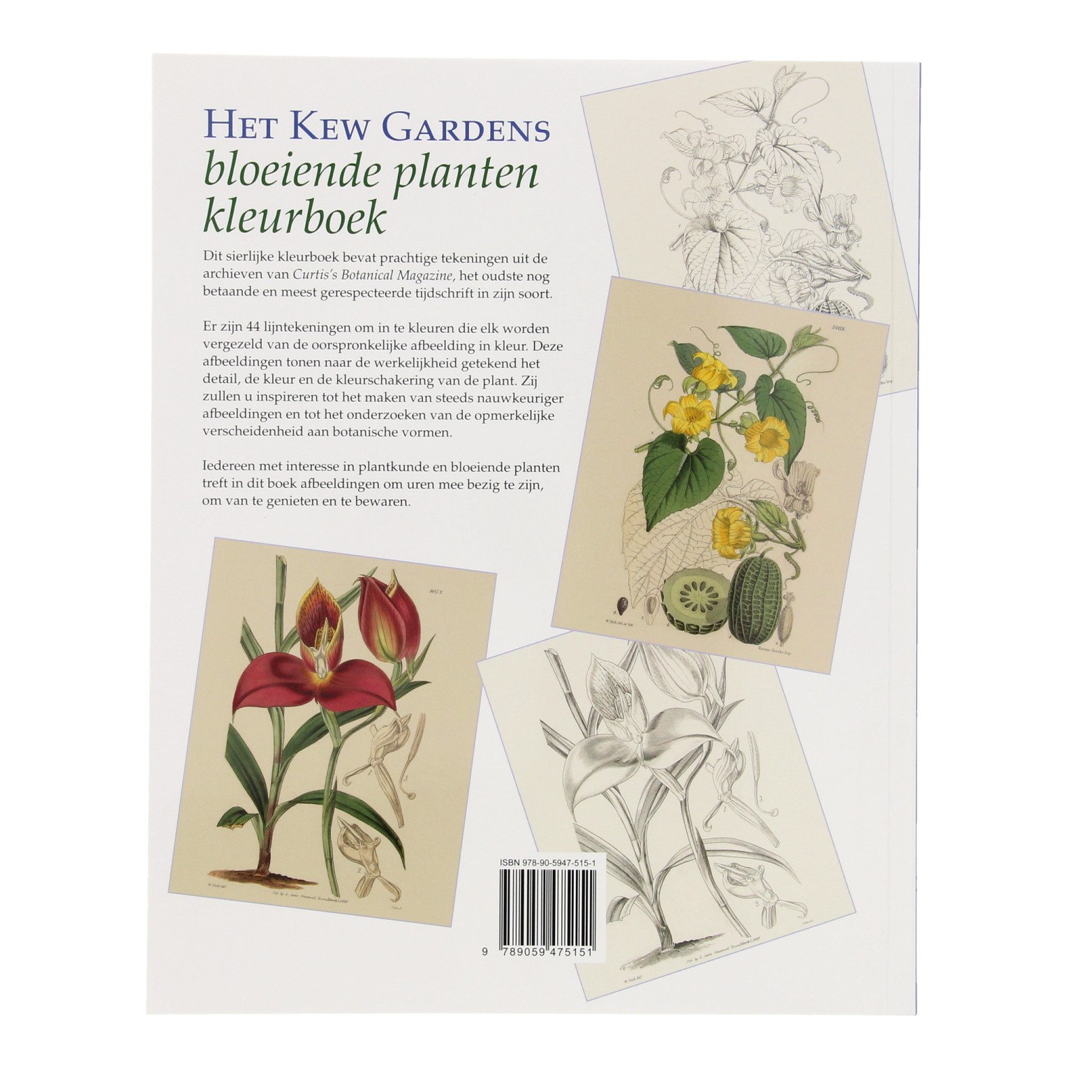 Het Kew Gardens bloeiende planten kleurboek