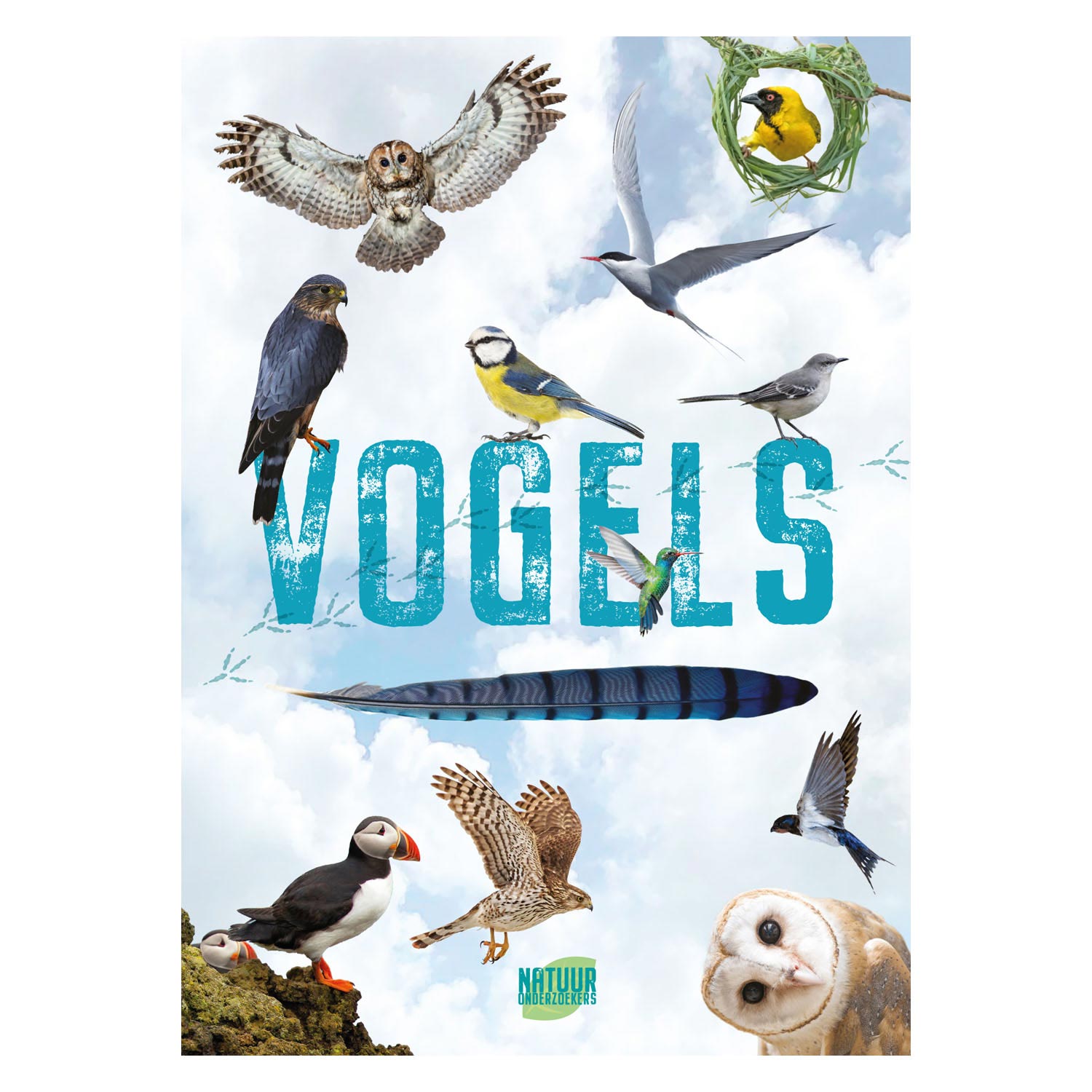 Vogels - Gids en Natuurdagboek voor Kinderen
