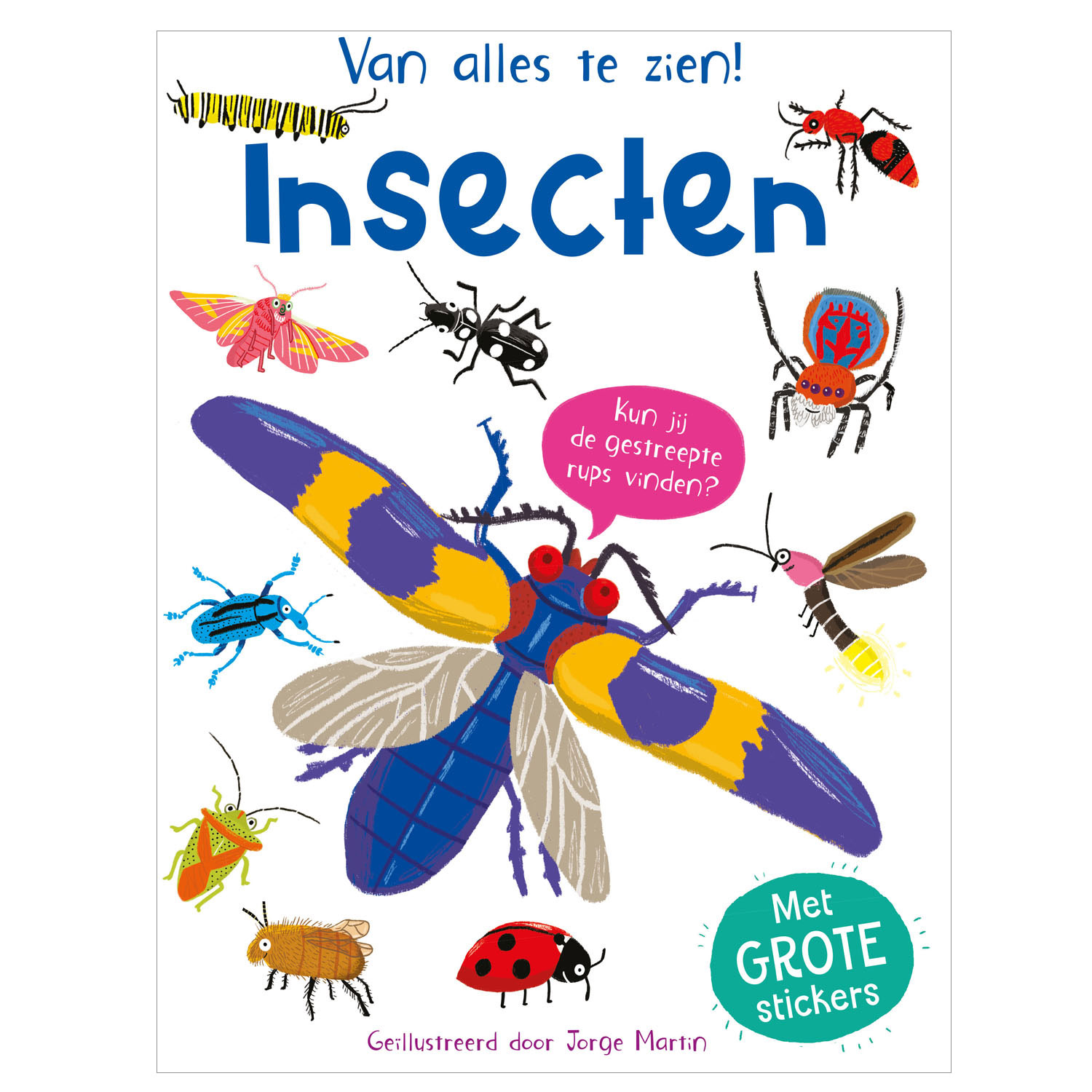 Insectes - Beaucoup à voir !