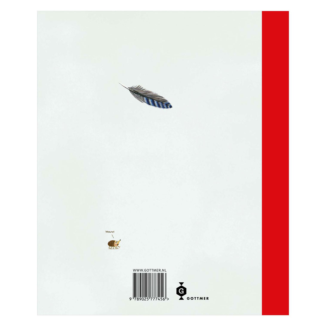 Le livre des gnomes