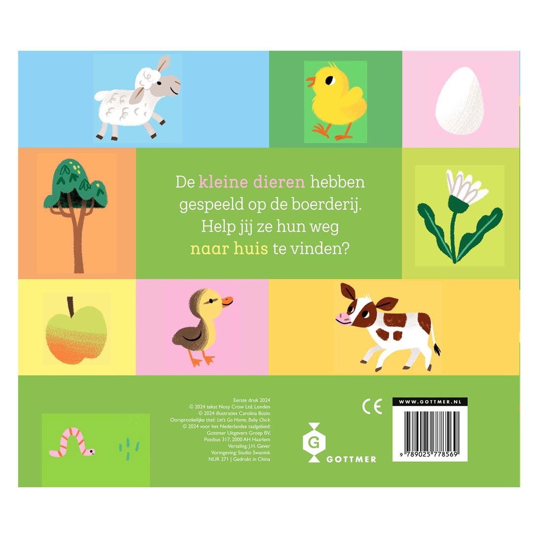 Kom je thuis, klein kuiken?