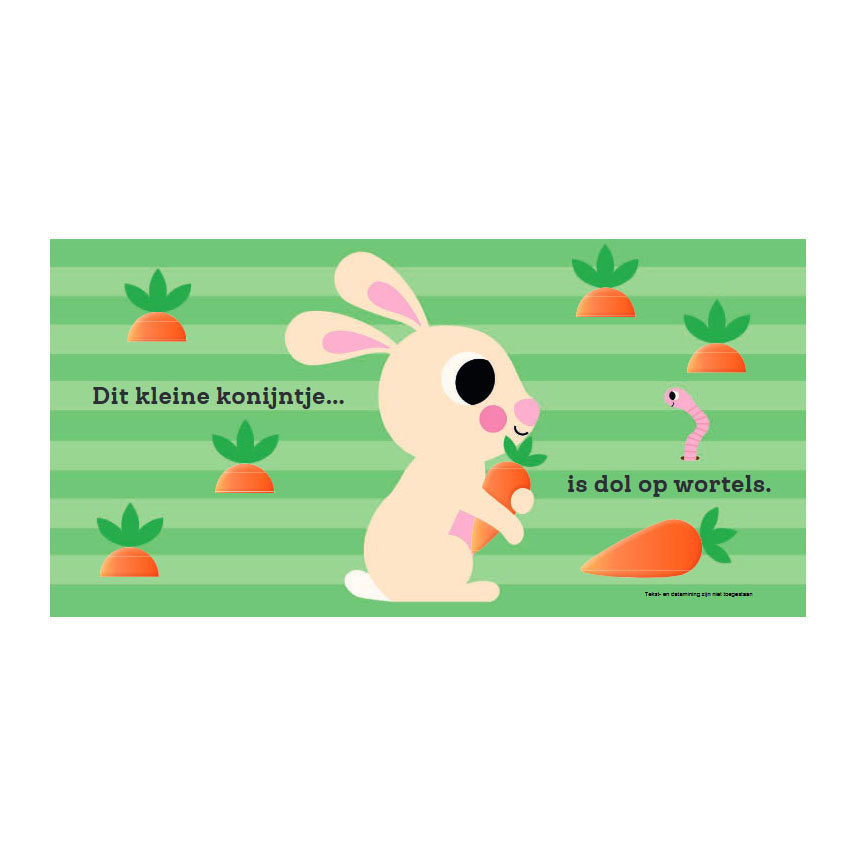 Dit kleine konijntje - Voelboekje
