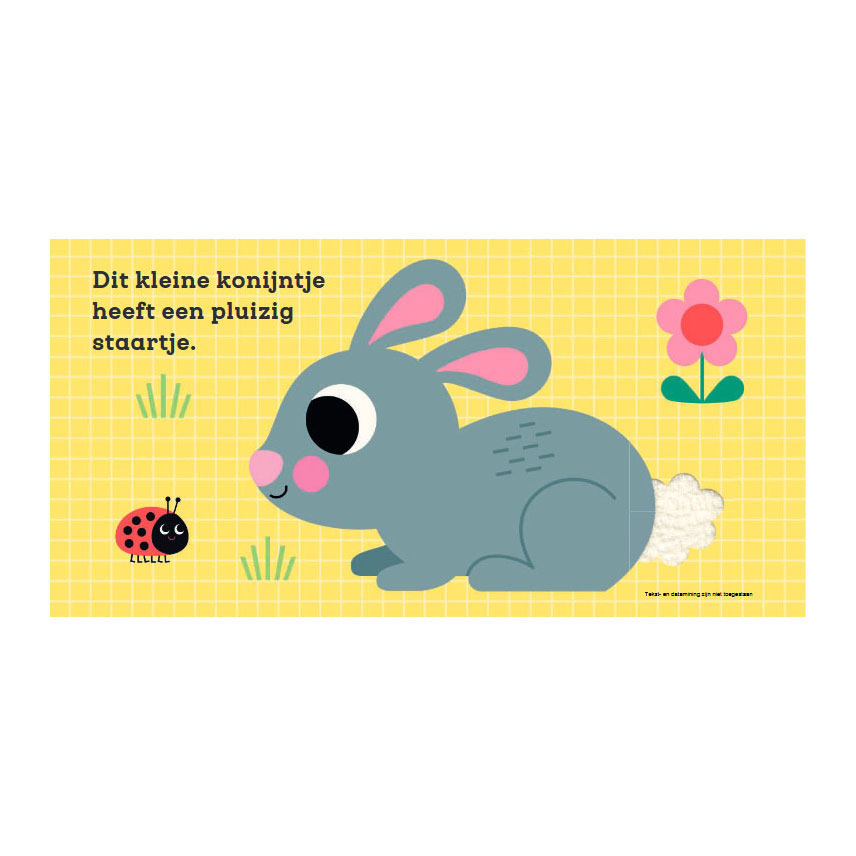 Dit kleine konijntje - Voelboekje