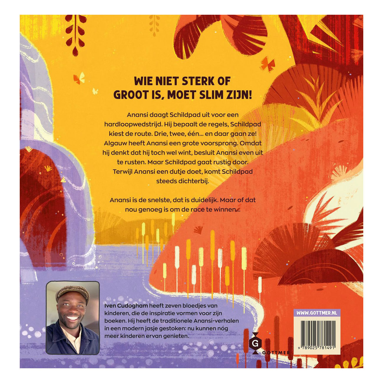 Anansi, die Spinne, und der Kampf gegen die Schildkröte