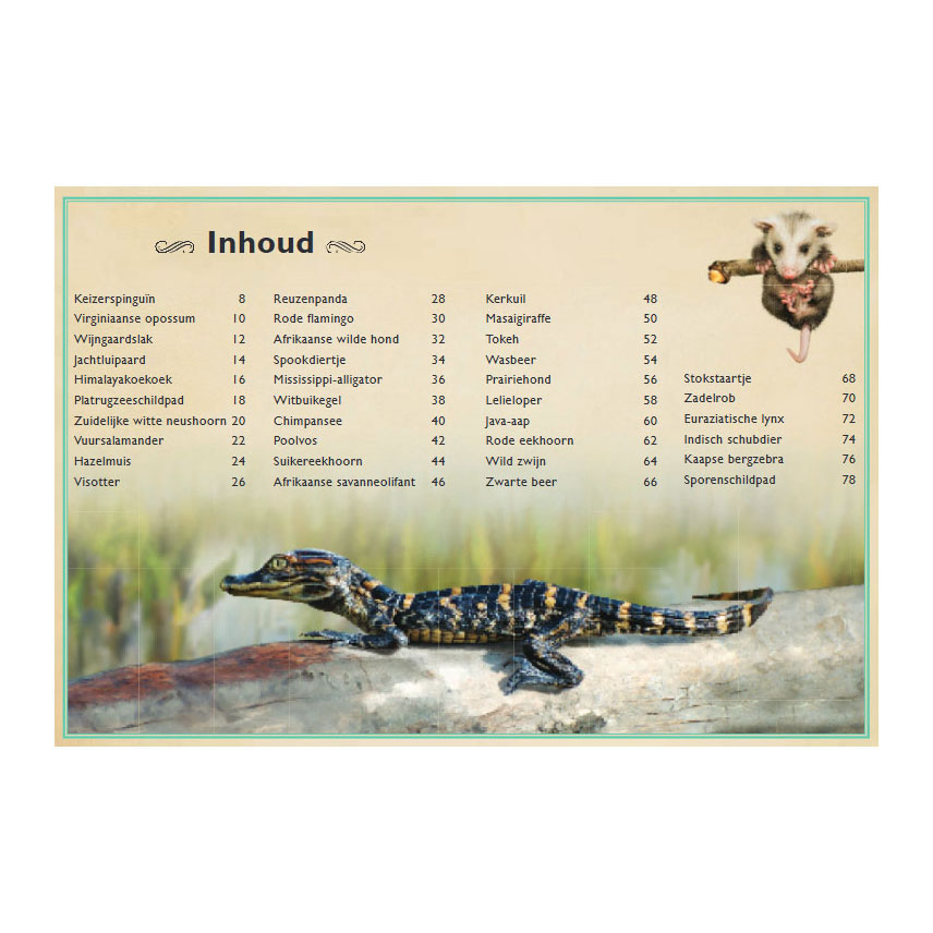 Le plus beau livre sur les bébés animaux