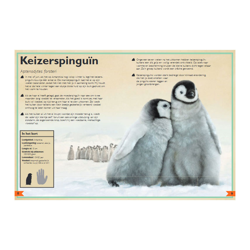 Le plus beau livre sur les bébés animaux