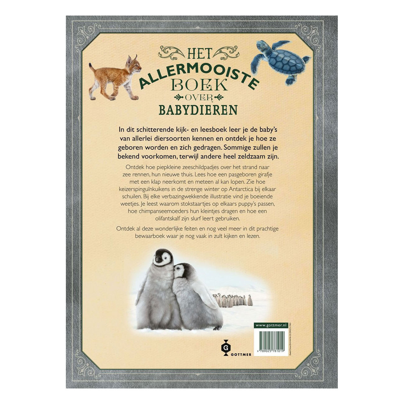 Le plus beau livre sur les bébés animaux