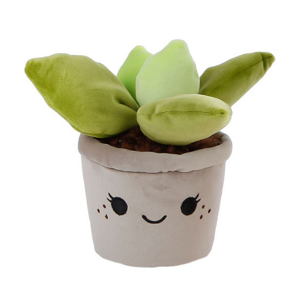 Take Me Home Cuddle Plant Peluche - Plante succulente