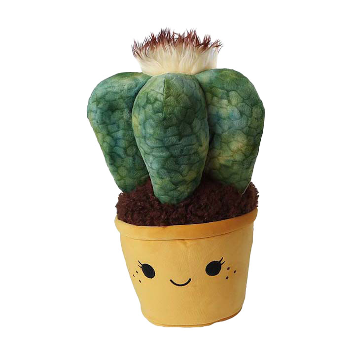 Take Me Home Knuffel Pluche - Cactus, 45cm