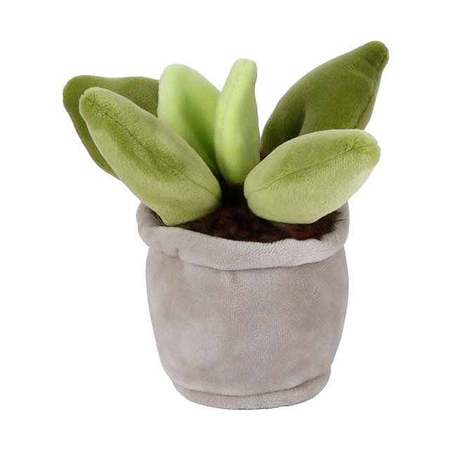 Peluche plante câlin Take Me Home – Plante succulente, 12-17 cm