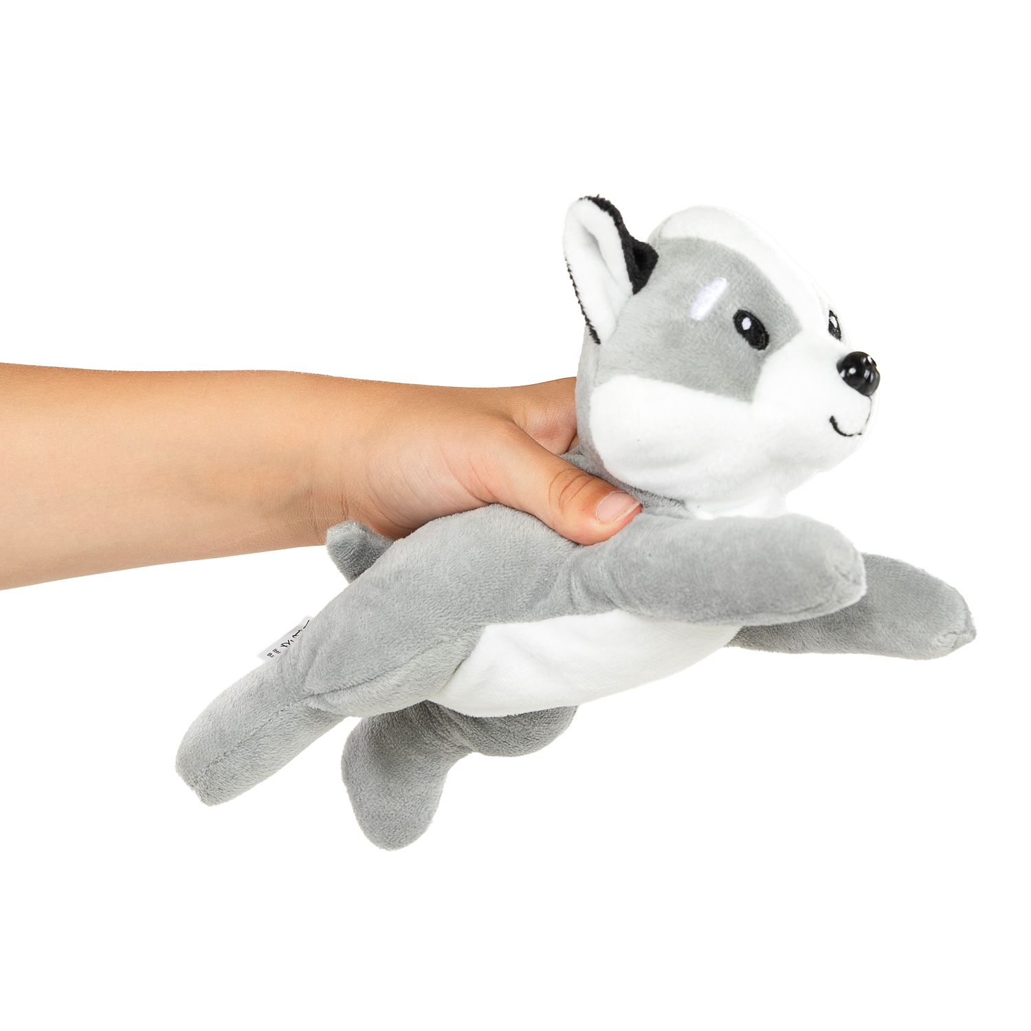 Peluche « Emmène-moi à la maison » - Chien, 20 cm