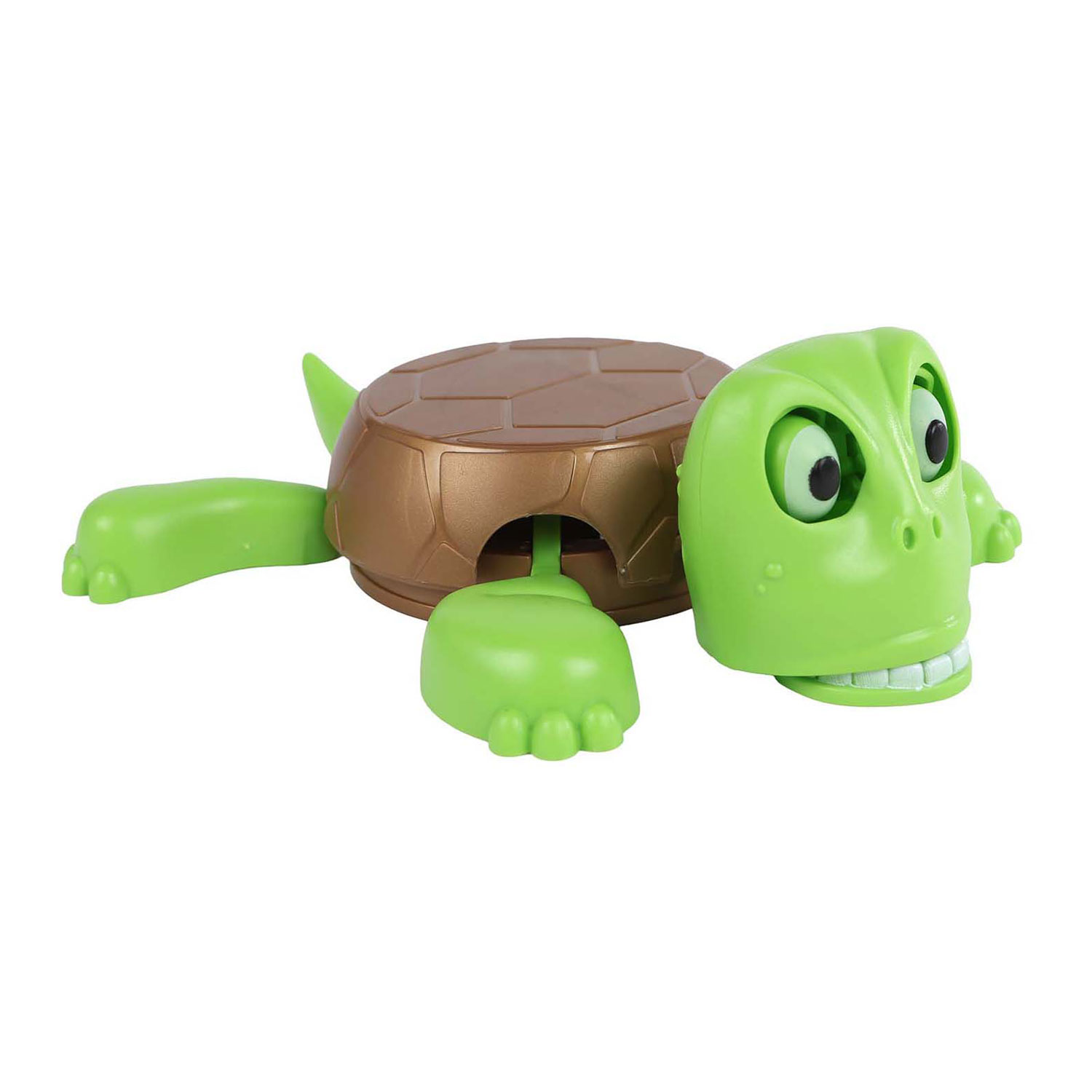 Turtle Coaster avec son