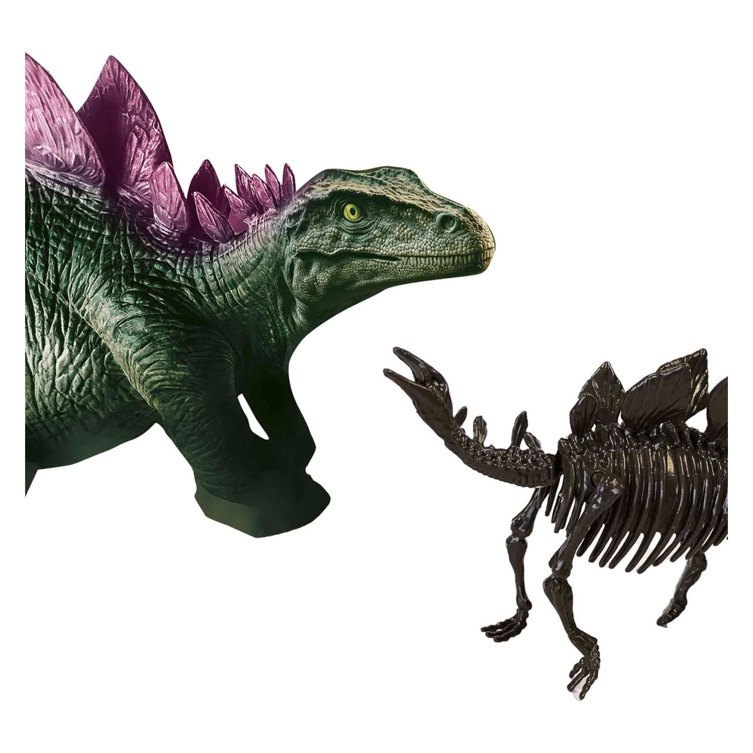 SES Explore Dino et Skeleton Dig 2in1 - Stégosaure