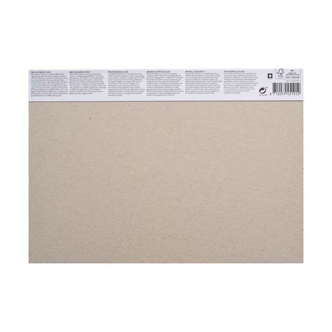 Talens Bristol Papier A4 246 G/M2 20 Vellen