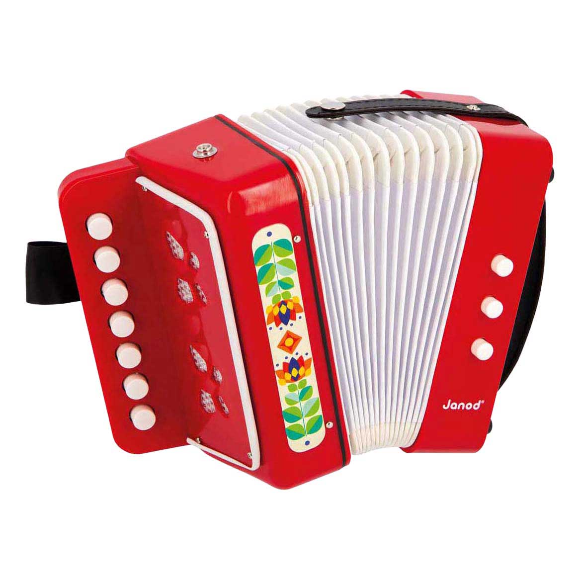 Janod Gioia - Accordeon