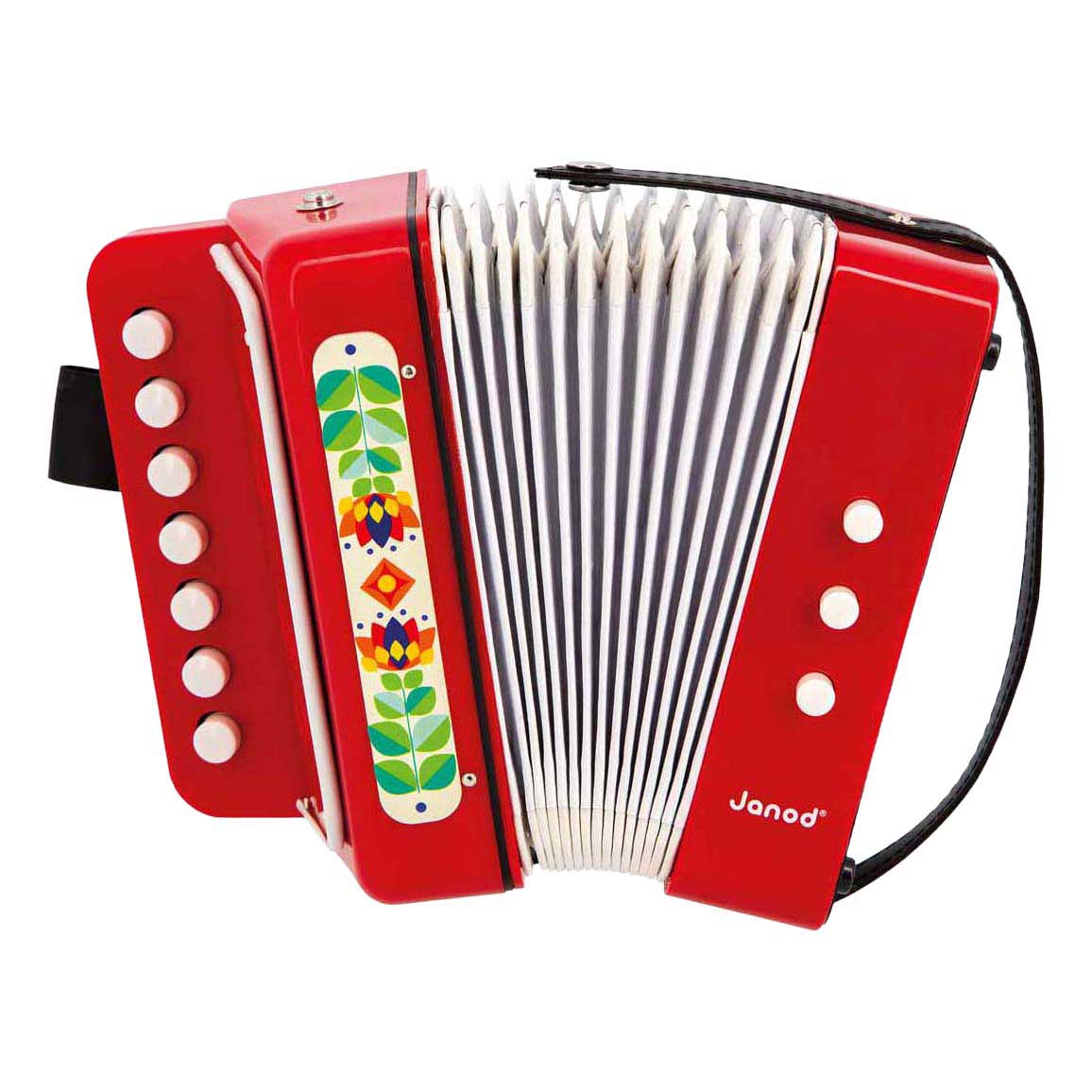 Janod Gioia - Accordeon