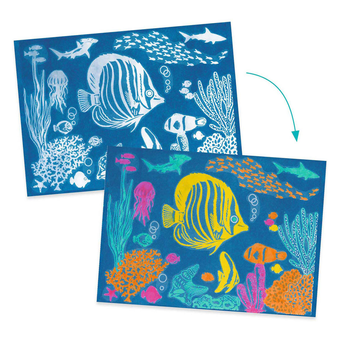 Djeco Craft Cyanotypie - Meer