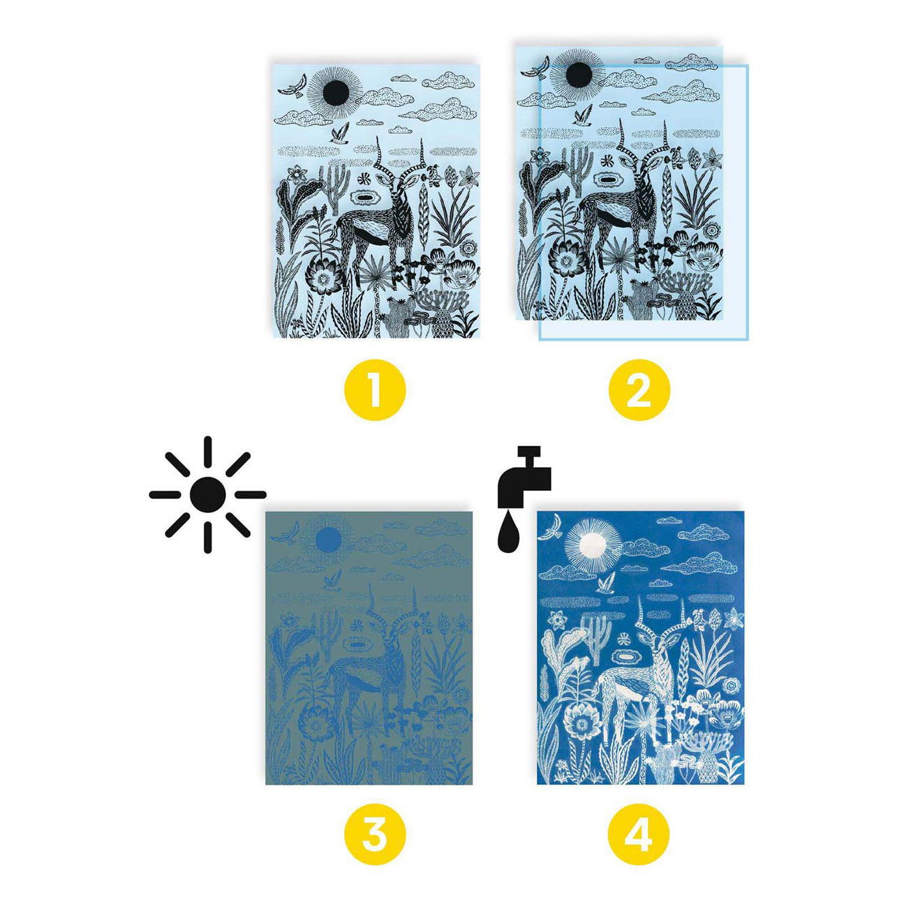 Djeco Knutselen Cyanotype - Nachtelijke Savanne