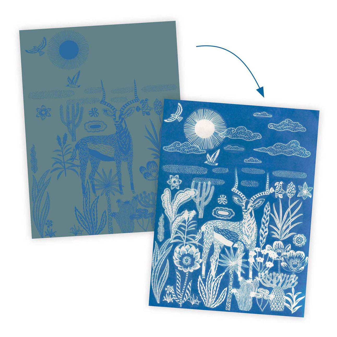 Djeco Knutselen Cyanotype - Nachtelijke Savanne