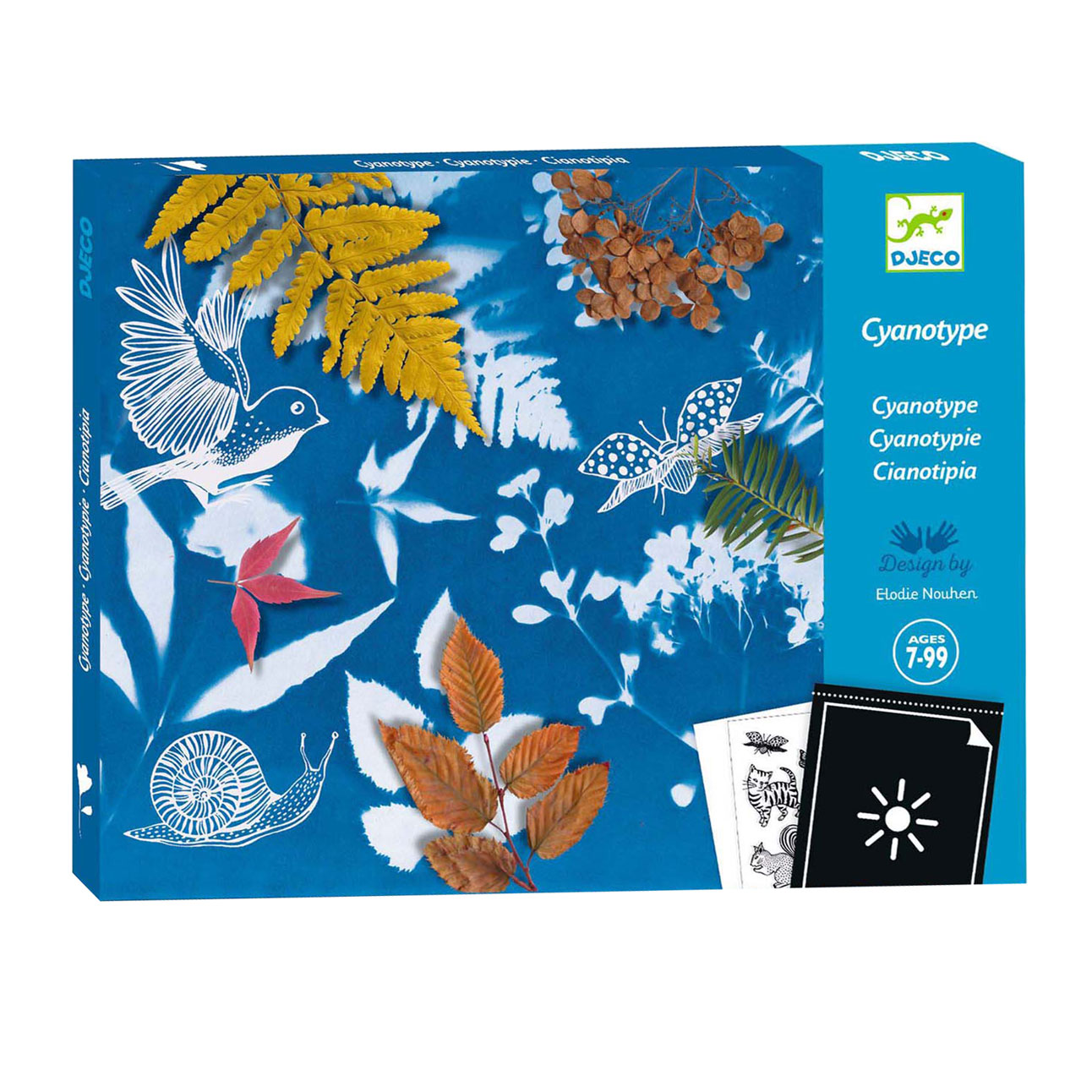 Kit de démarrage créatif Djeco Cyanotype - Feuilles