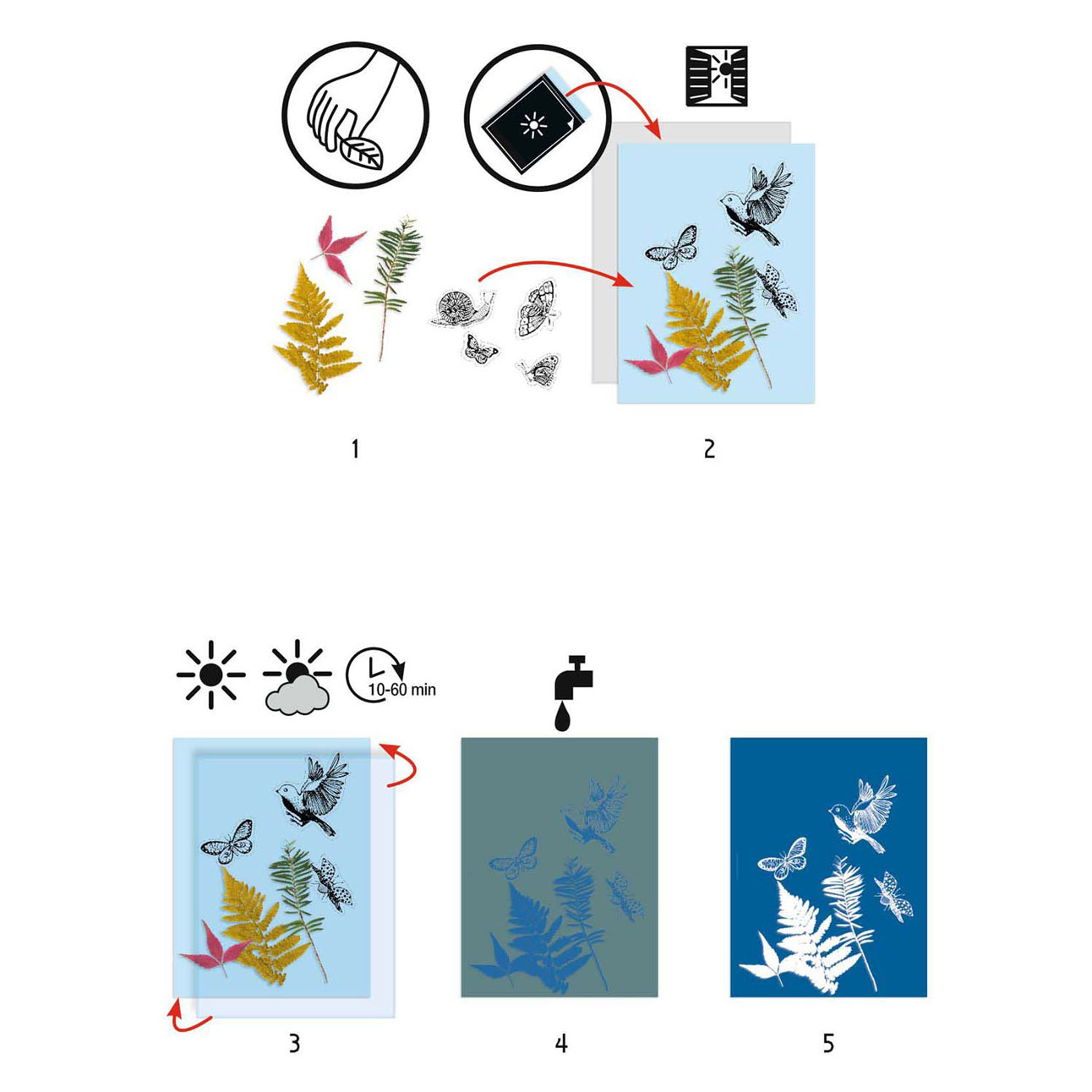 Kit de démarrage créatif Djeco Cyanotype - Feuilles
