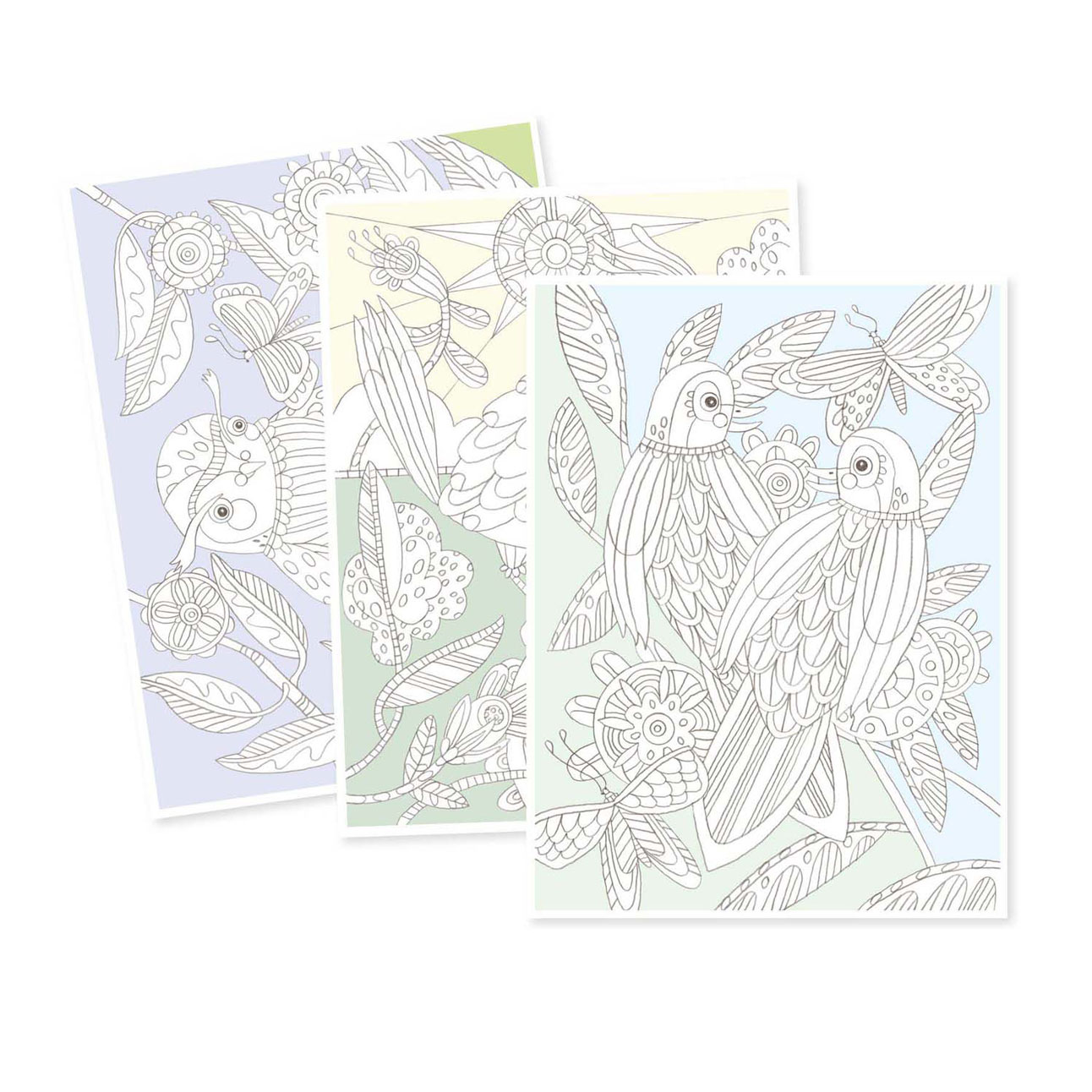 Djeco Kleurplaten Vogels