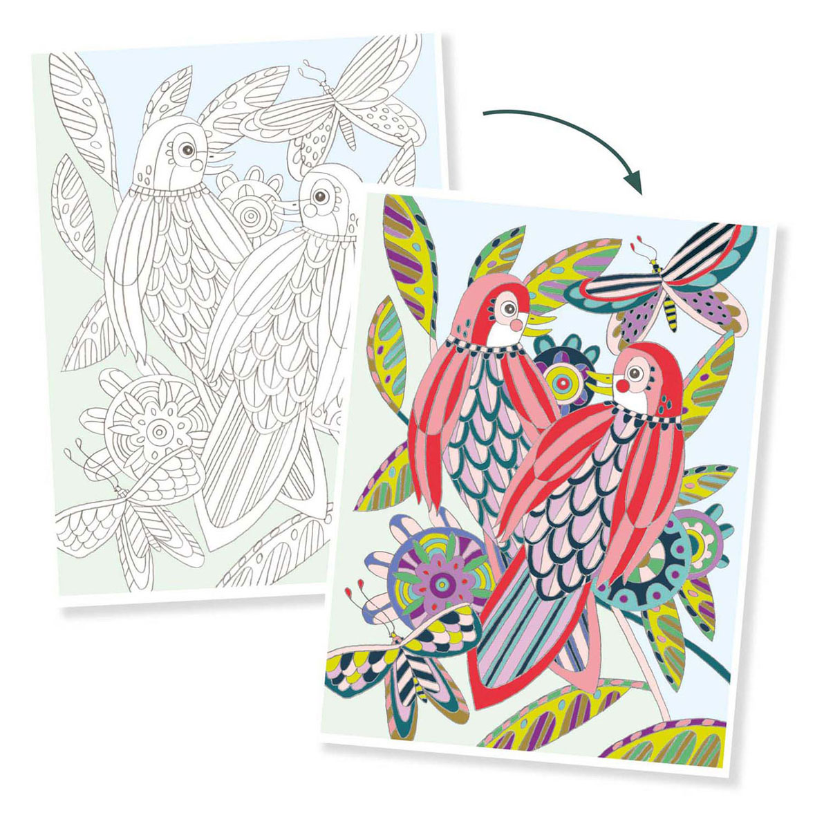 Djeco Kleurplaten Vogels