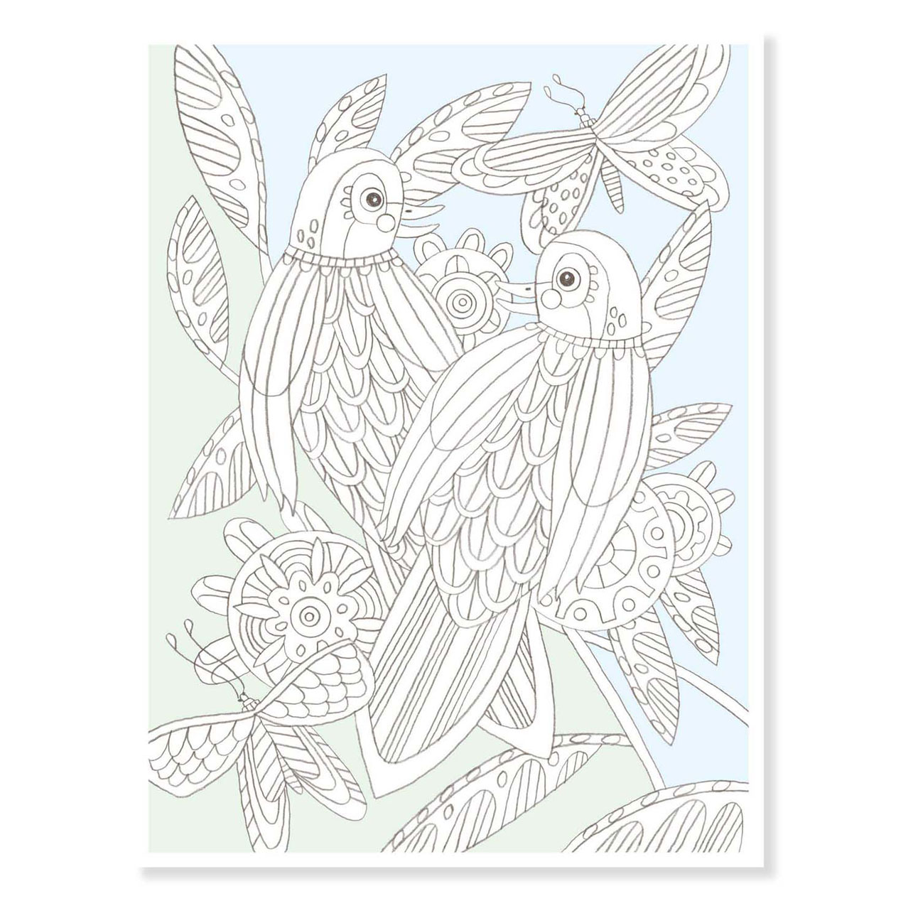 Djeco Kleurplaten Vogels
