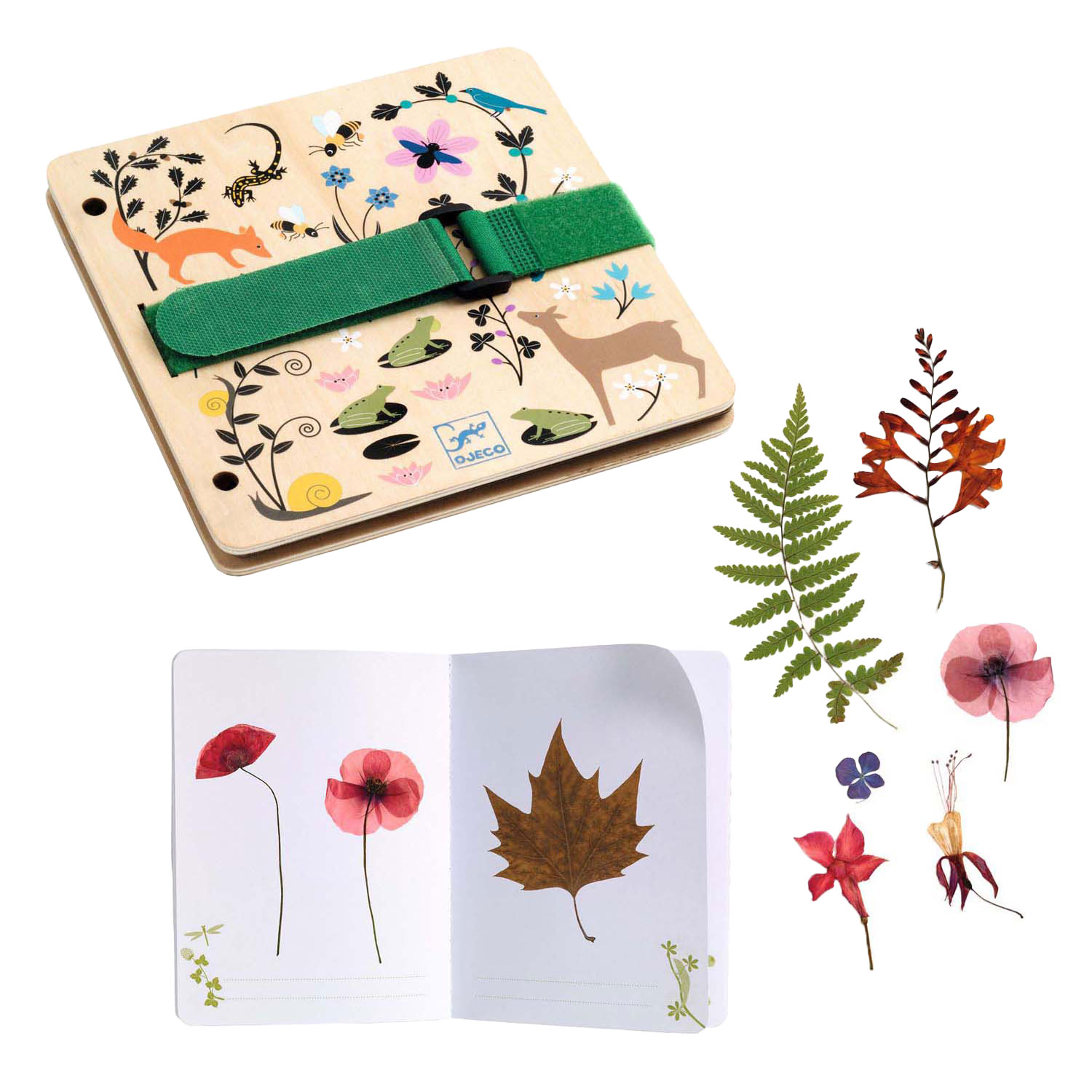 Djeco DIY - Knustelset Herbariumschrift