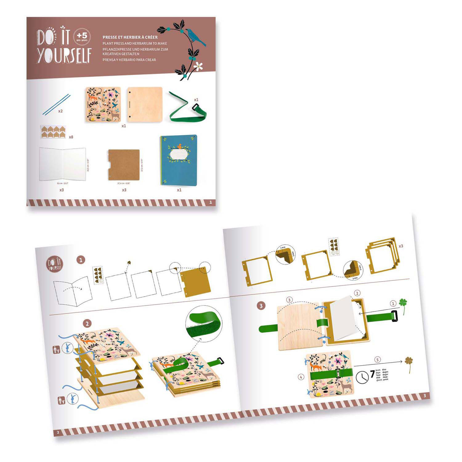 Djeco DIY - Knustelset Herbariumschrift