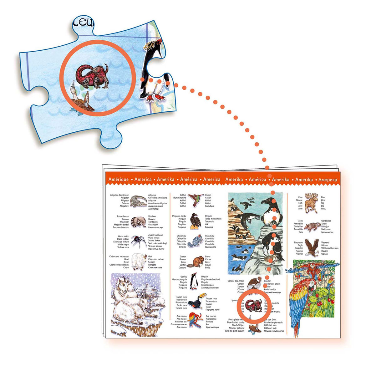Djeco Legpuzzel Dieren van de Wereld - 100st. 