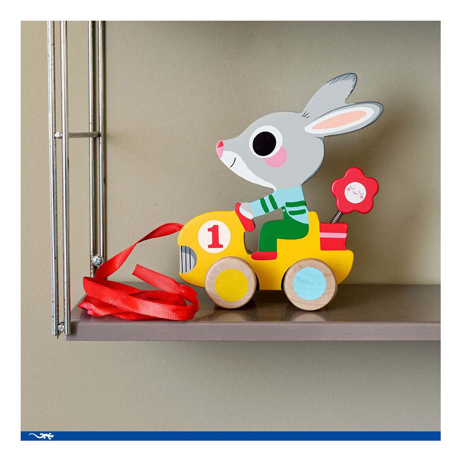 Djeco Houten Trekfiguur Kleurrijk Konijn
