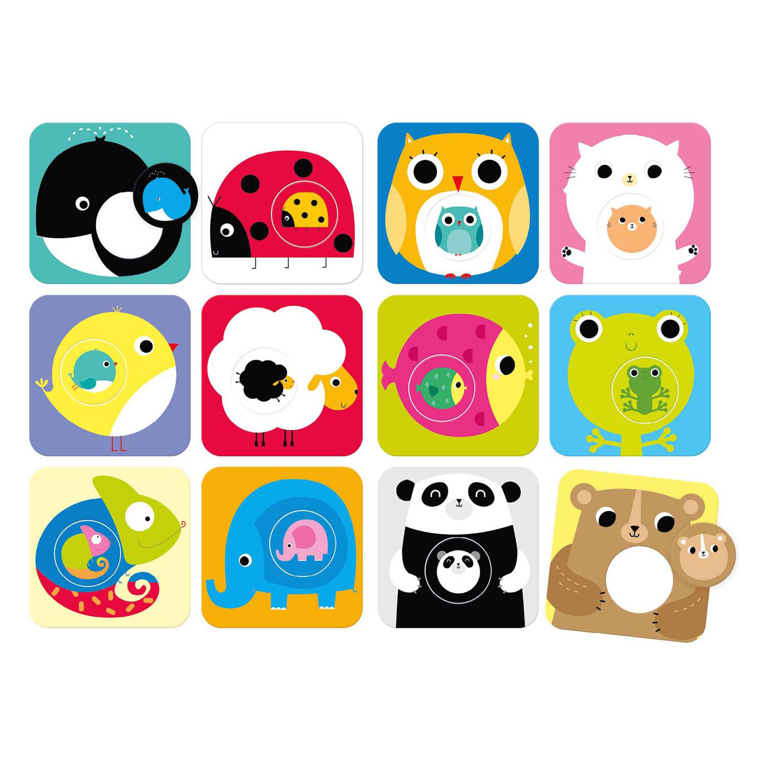 Banana Panda - Match de Baby - 12st.