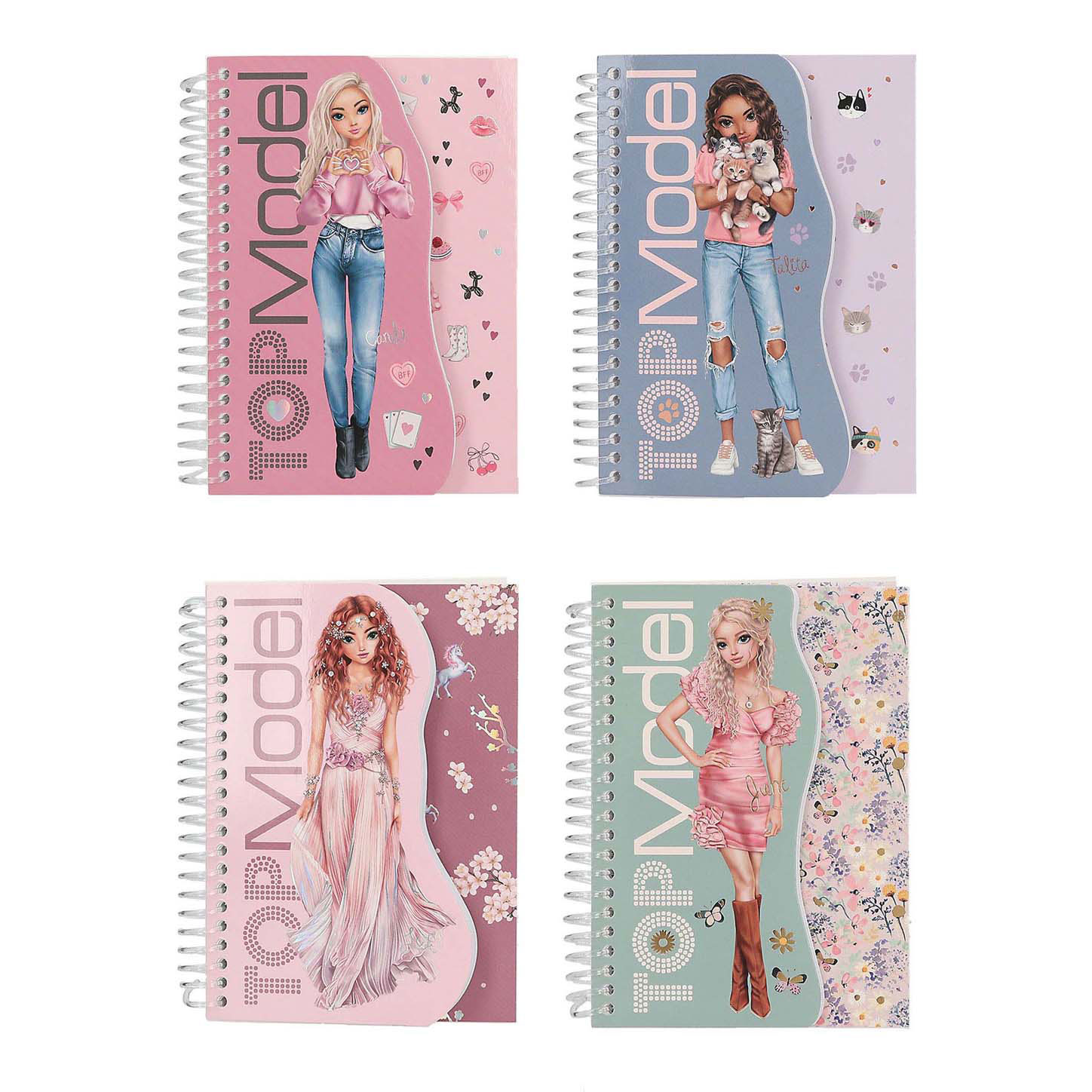 Carnet TOPModel