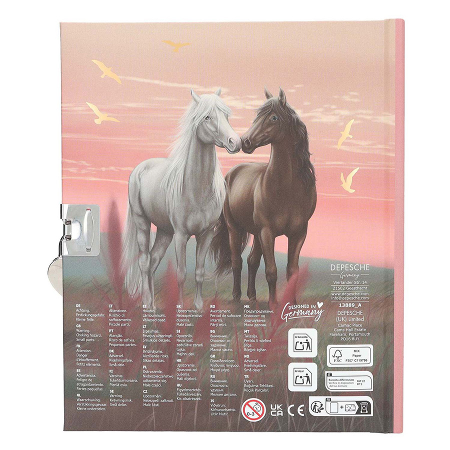 Miss Melody Dagboek met Stickers