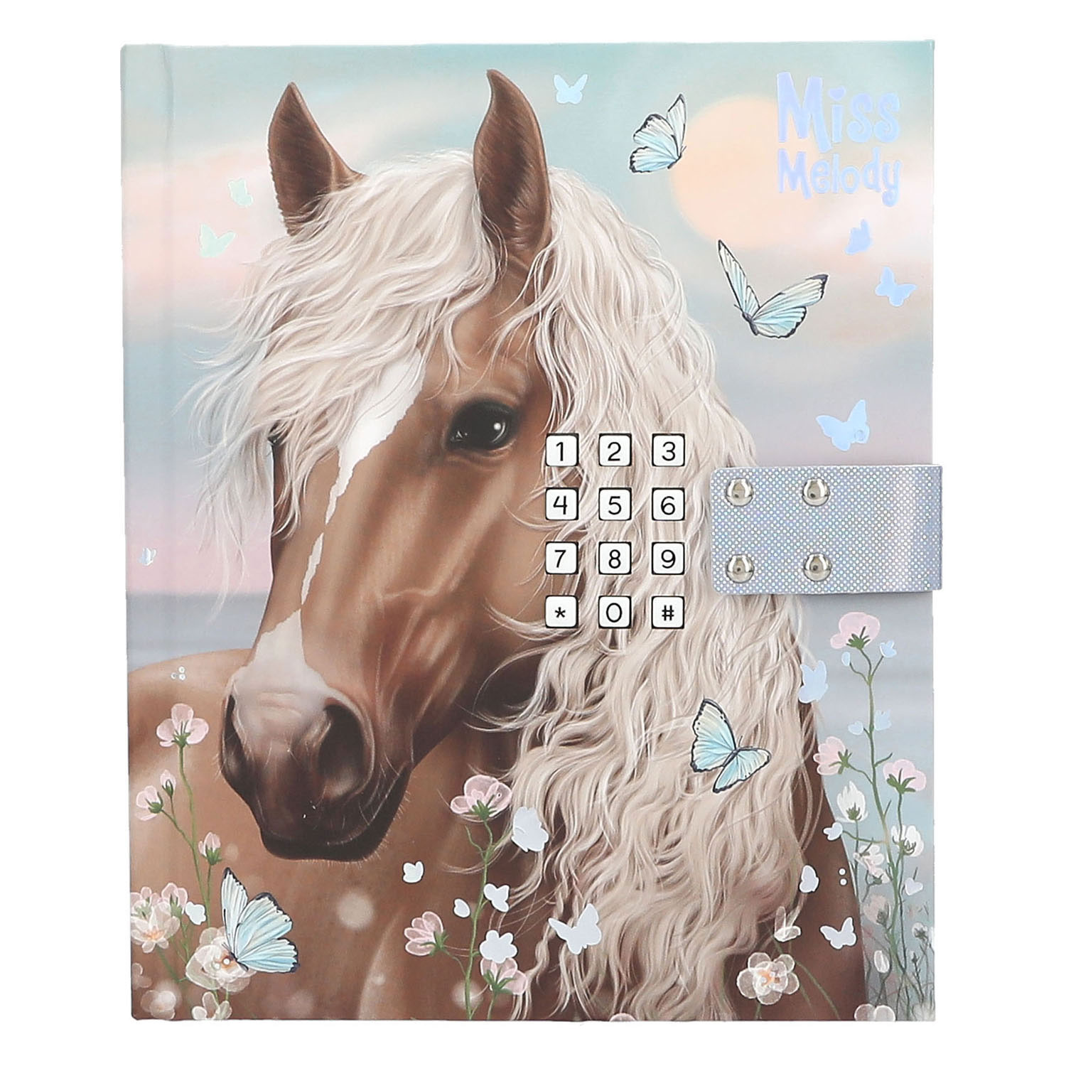 Miss Melody Dagboek met Code & Geluid