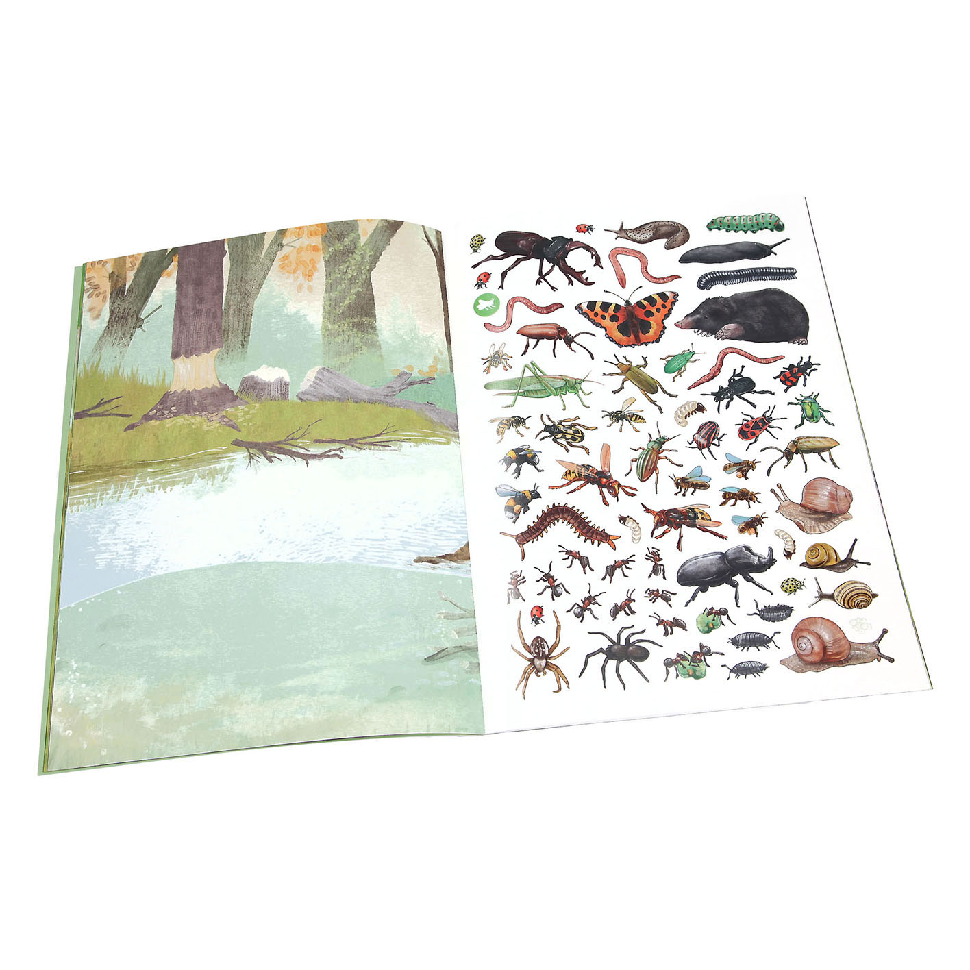 Create your Wild Forest Stickerboek
