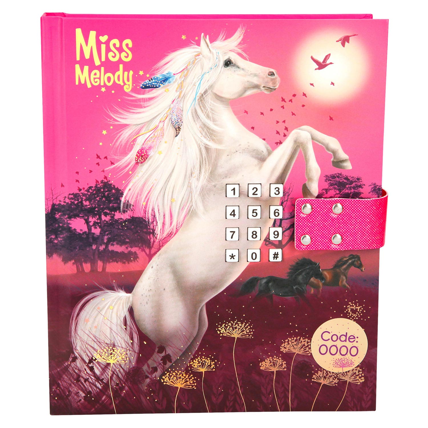 Miss Melody Dagboek met Geheime Code
