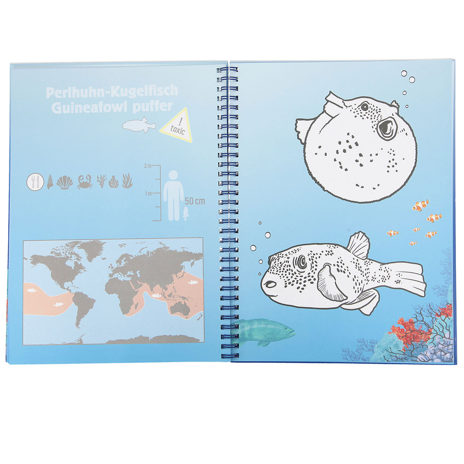Ensemble de livres de coloriage Dino World sous-marin