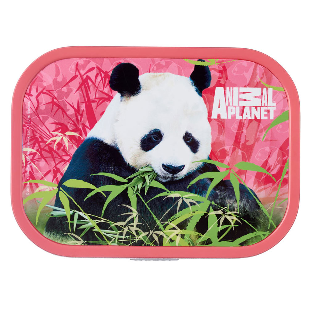 Mepal Campus Lunchbox - Animal Planet Panda