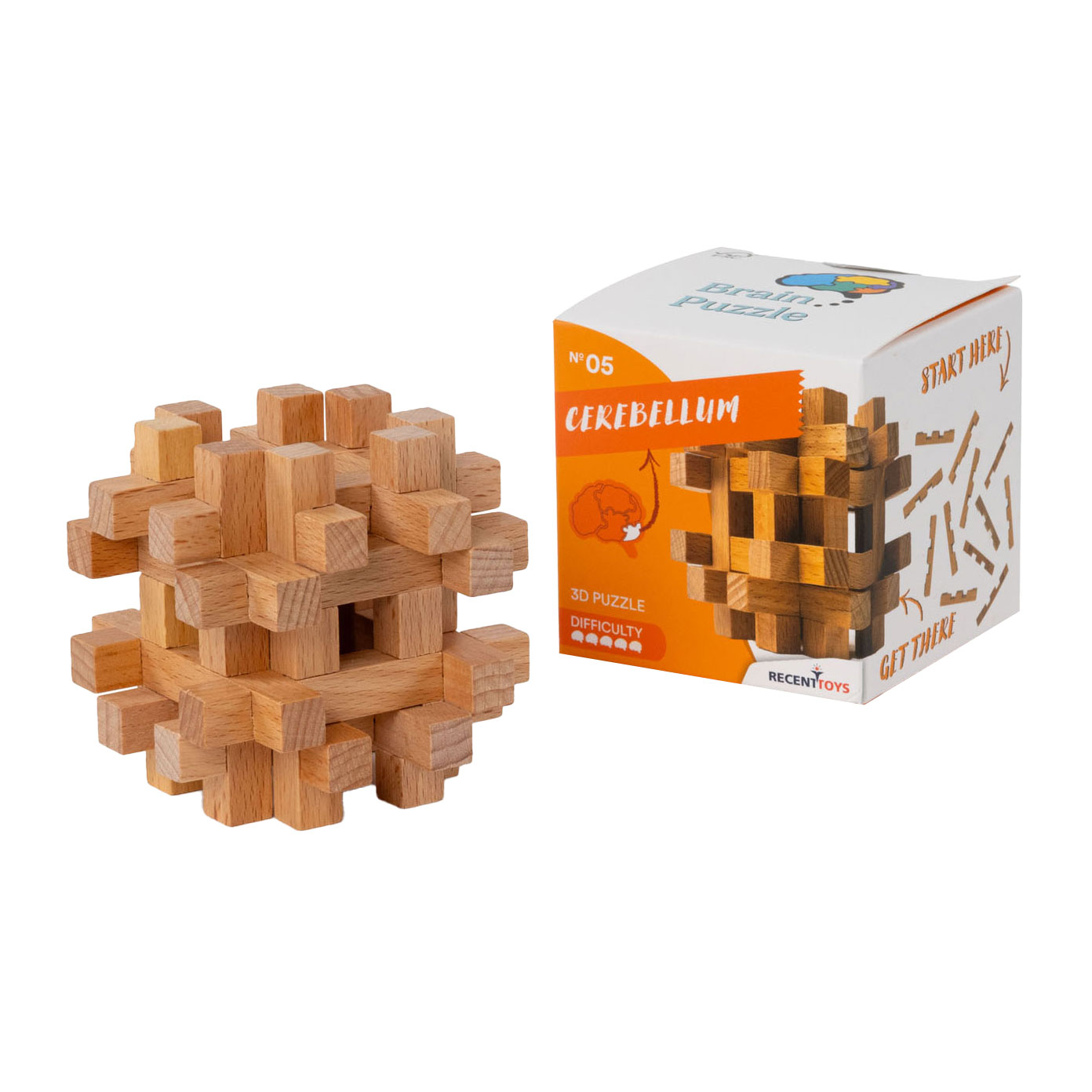 Breinpuzzel NO5: Cerebellum - Breinbreker