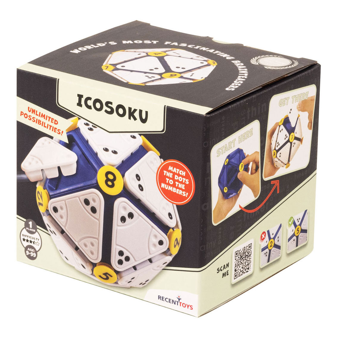 Icosoku Breinbreker Puzzel